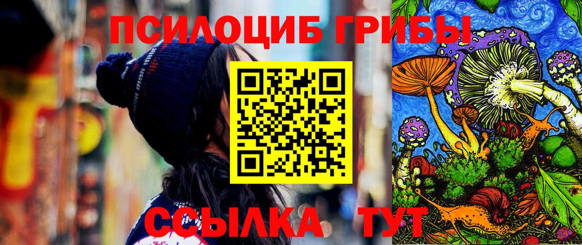 Галлюциногенные грибы Cubensis  Вход с VPN  Саров 