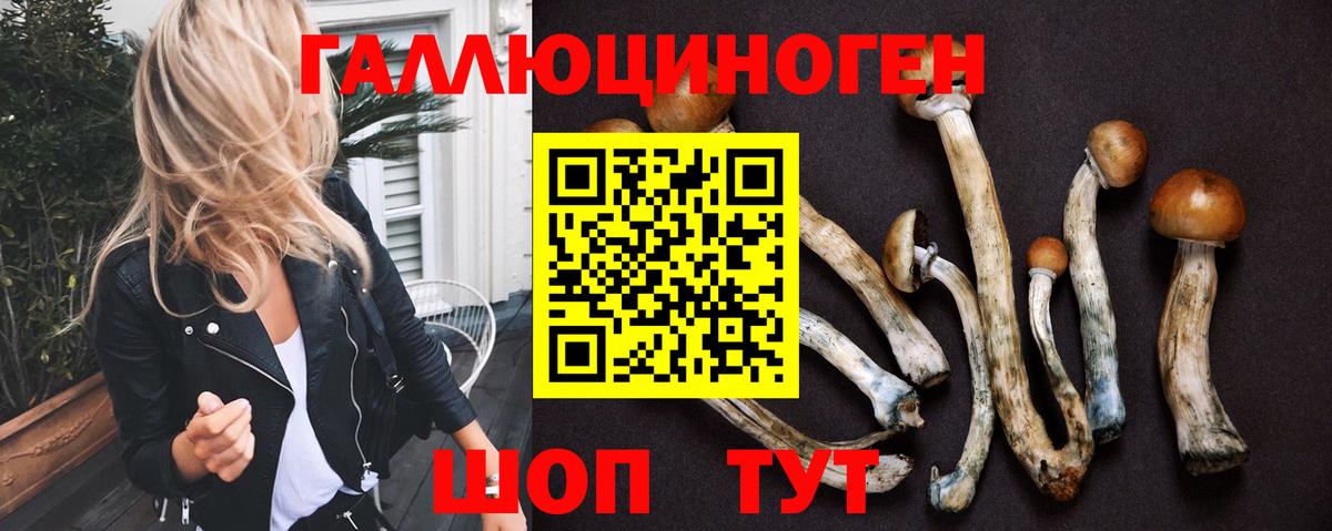 Галлюциногенные грибы прущие грибы Саров